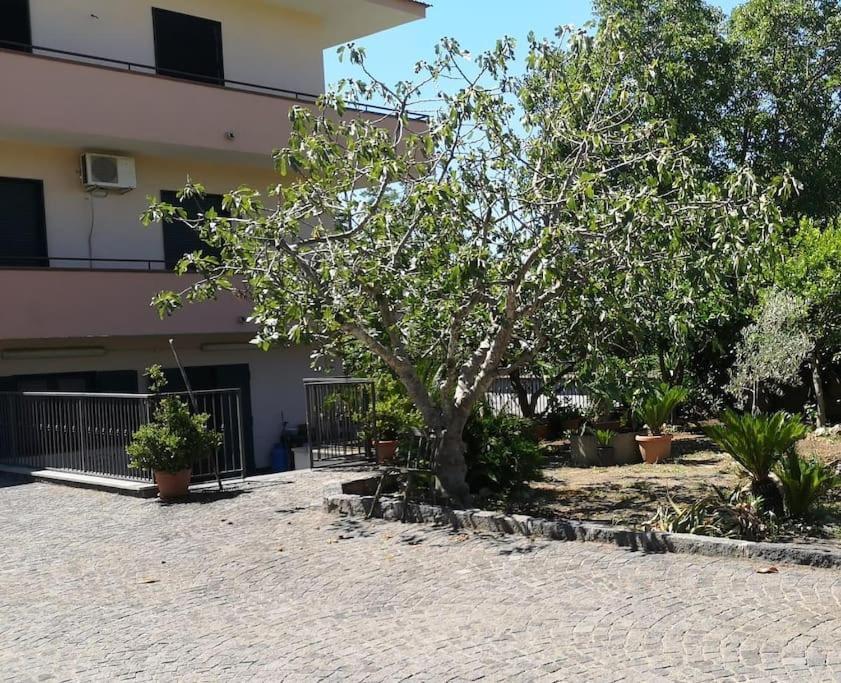 Villa Daniela Sarno Ngoại thất bức ảnh